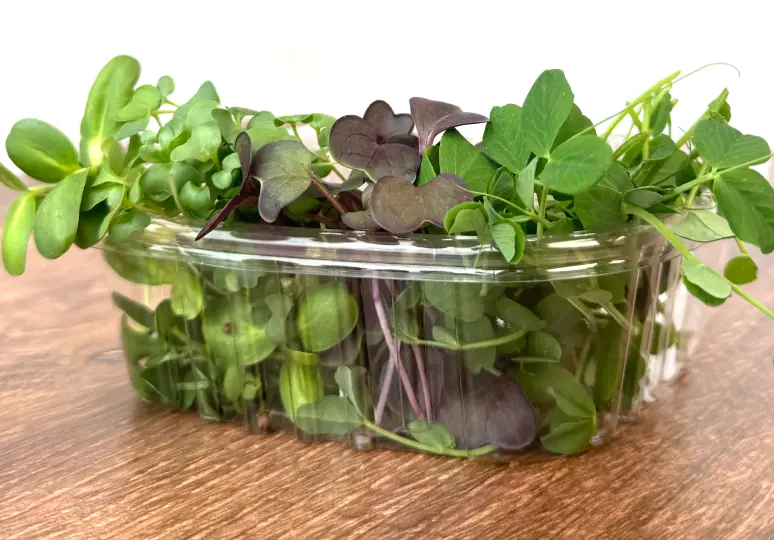 Good Vibes Microgreen Mix