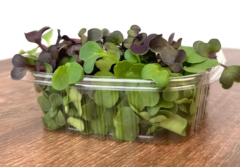 Radelicious Microgreen Mix