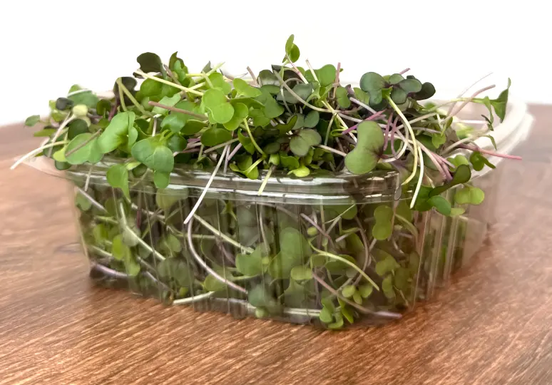 Superfood Microgreens Mix