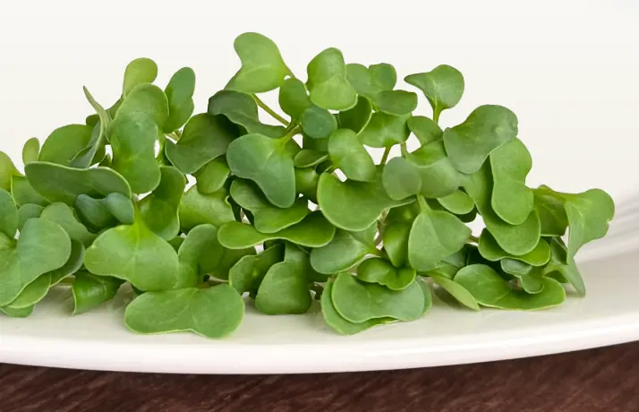 Broccoli microgreens